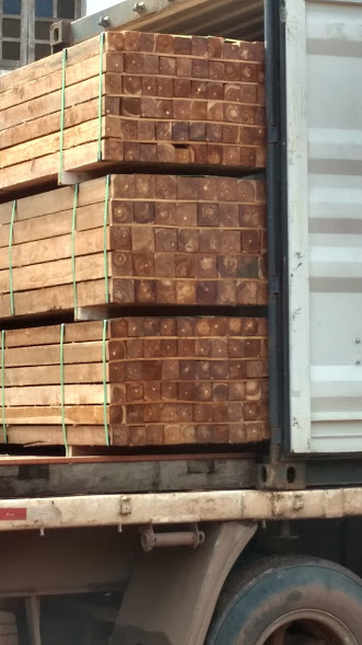 Teca carregada em contêiner de 40'